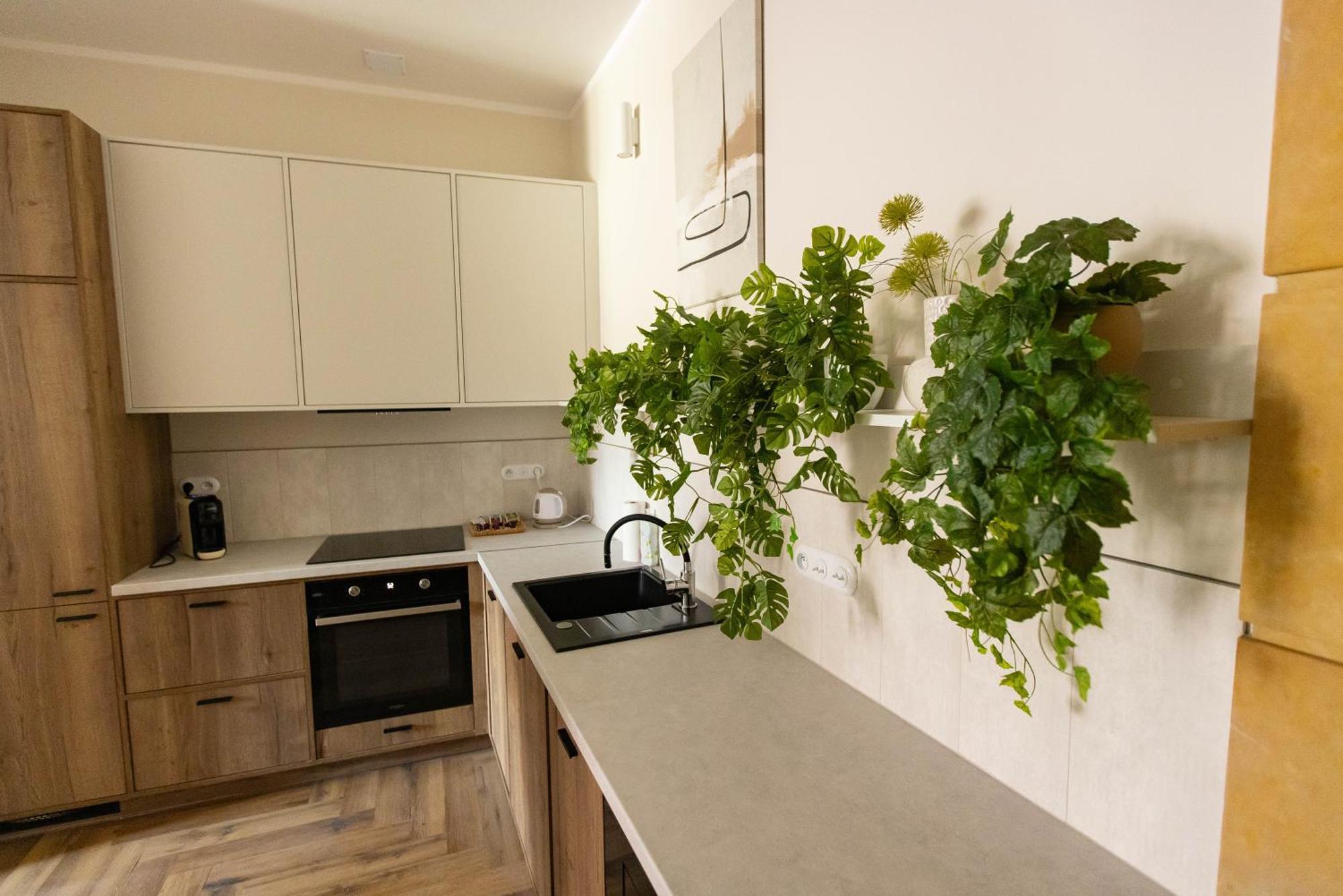 Apartamenty Rynek 12 Tarnów Kültér fotó